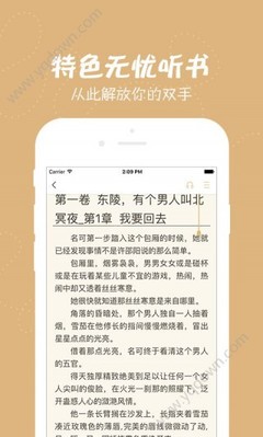 爱游戏体育app意甲的赞助商